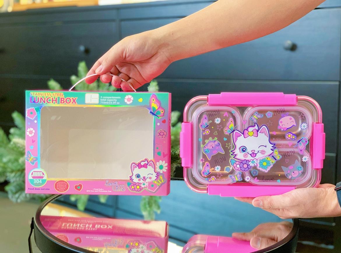 Holographic bento lunch box