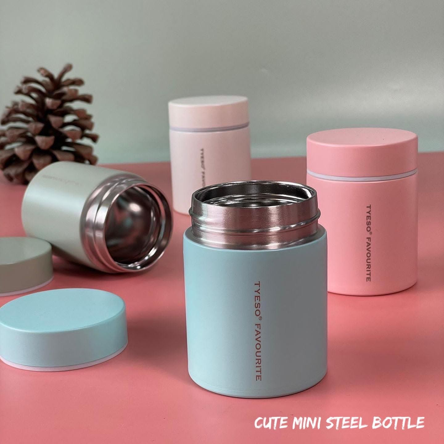 Cute mini steel bottle